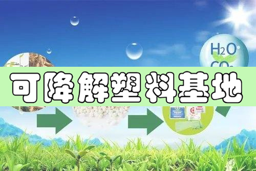 河南將建省內(nèi)最大可降解塑料基地